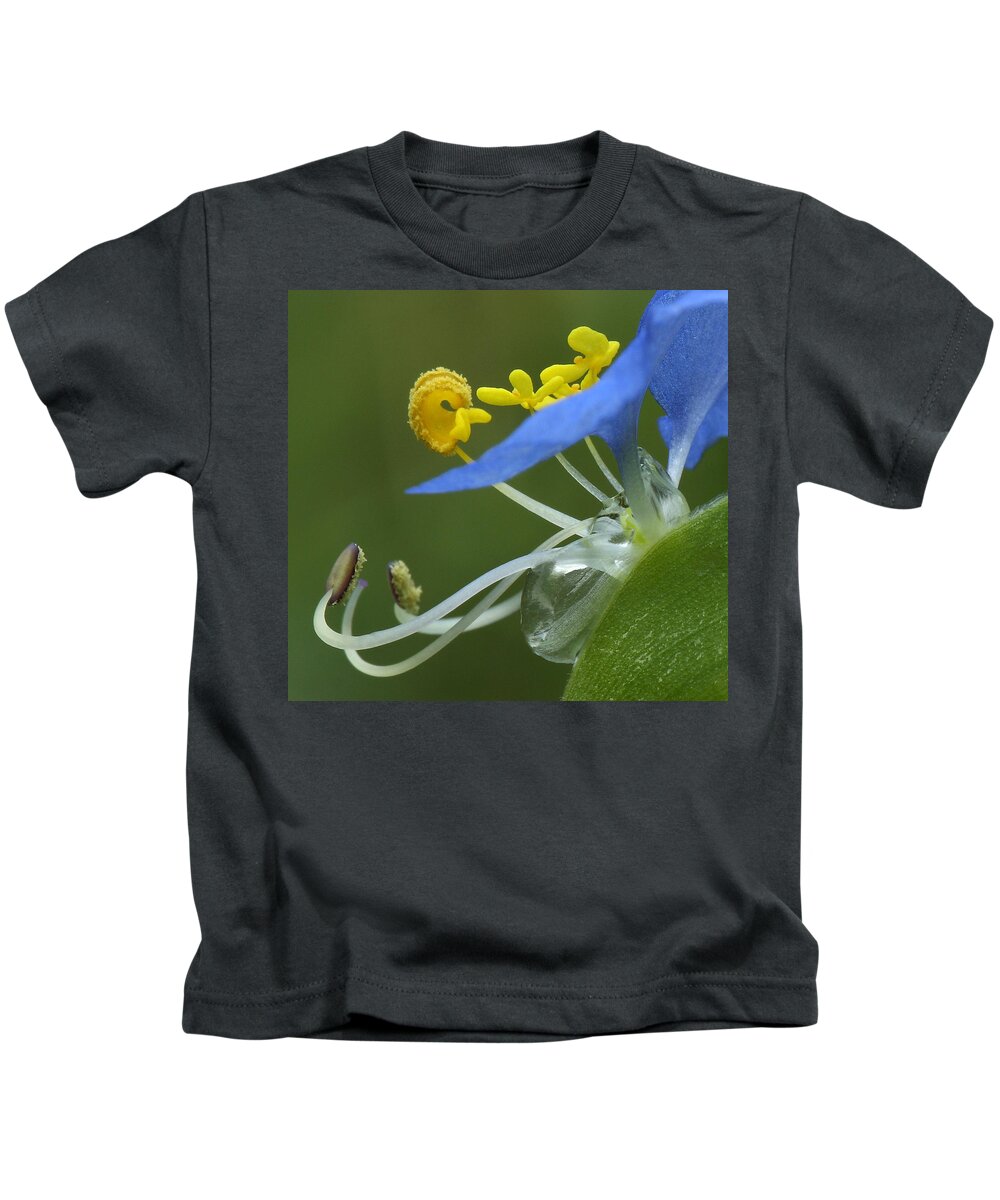 Slender Dayflower Kids T-Shirt featuring the photograph Close View Of Slender Dayflower Flower With Dew by Daniel Reed