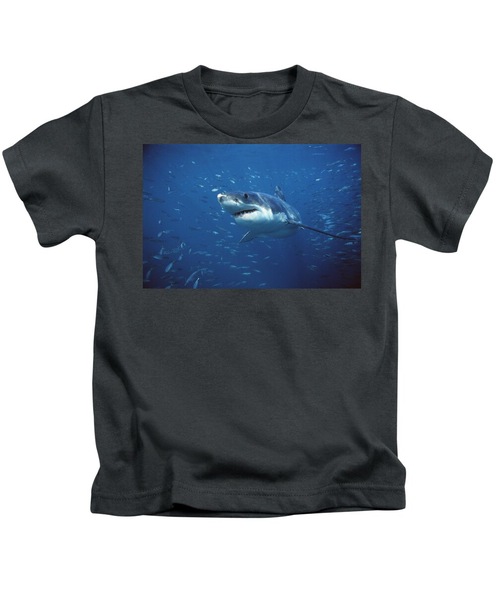 Mp Kids T-Shirt featuring the photograph Great White Shark Carcharodon #1 by Mike Parry