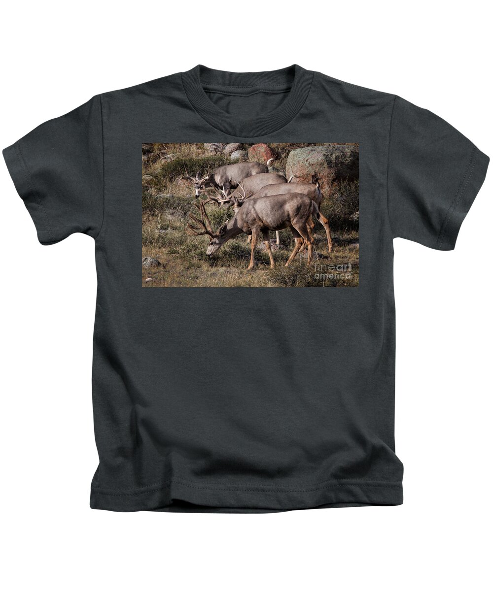 2012 Kids T-Shirt featuring the photograph Mule Deer Bucks #2 by Ronald Lutz