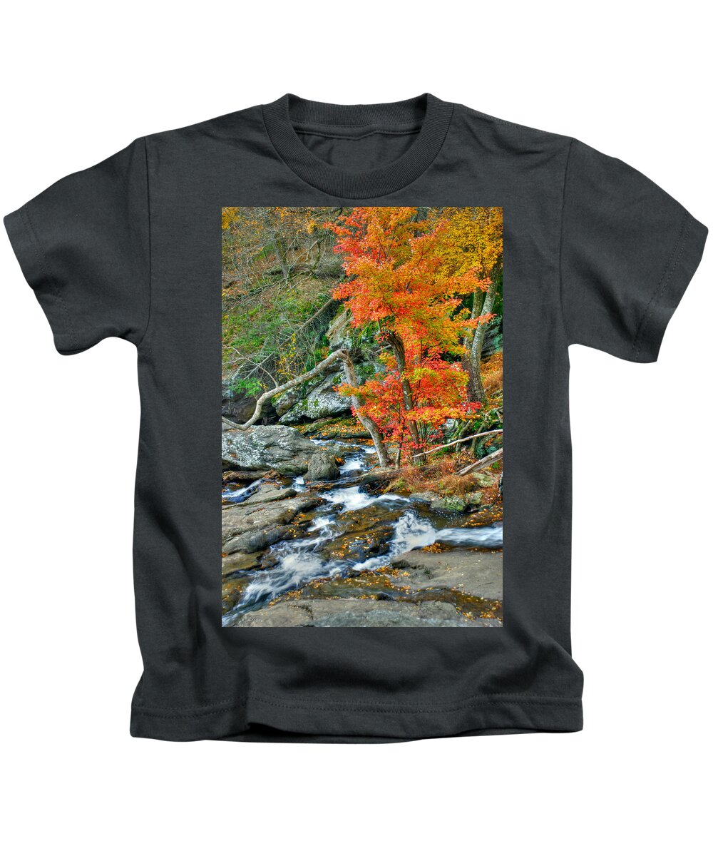 Cunningham Falls Kids T-Shirt featuring the photograph Cunningham Falls #17 by Mark Dodd