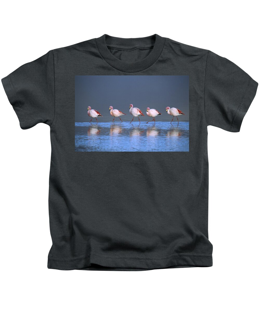 00143092 Kids T-Shirt featuring the photograph Puna Flamingo Formation by Tui De Roy