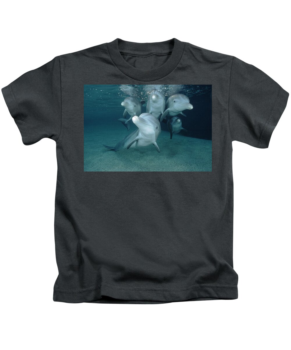 00087619 Kids T-Shirt featuring the photograph Bottlenose Dolphin Underwater Pair #3 by Flip Nicklin
