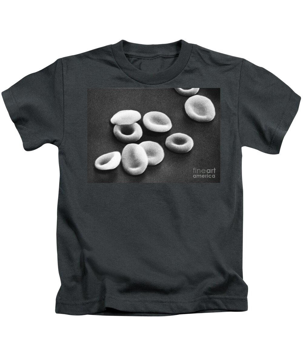 Sem Kids T-Shirt featuring the photograph Red Blood Cells, Sem #8 by Omikron