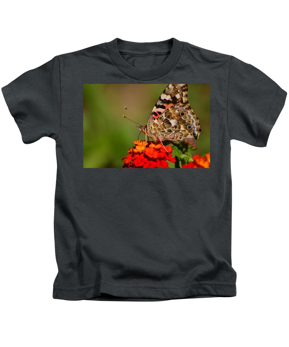 Butterfly Kids T-Shirt featuring the photograph A Wing of Beauty by Lori Tambakis
