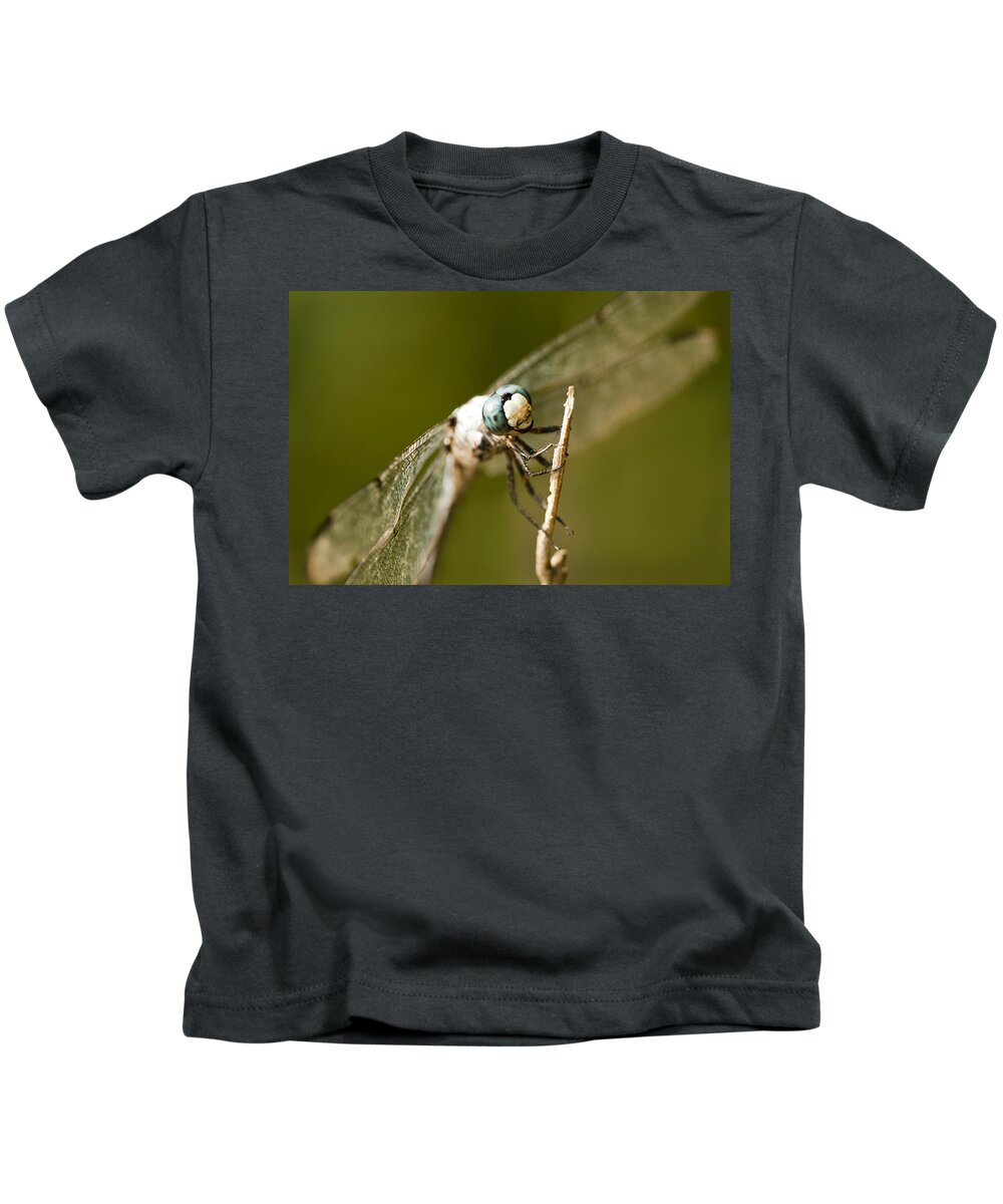 Aqua Kids T-Shirt featuring the photograph Aqua Eyed Dragonfly by Kathy Clark