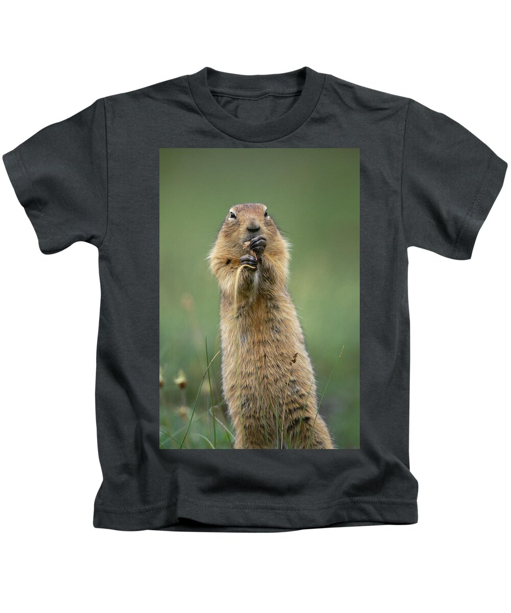 Mp Kids T-Shirt featuring the photograph Arctic Ground Squirrel Spermophilus by Michael Quinton