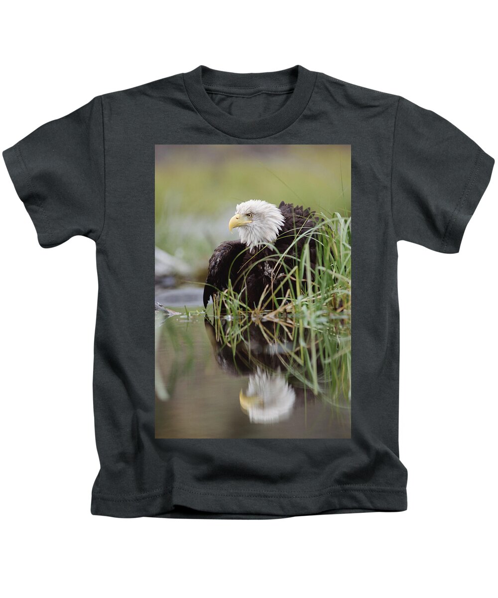00170427 Kids T-Shirt featuring the photograph Bald Eagle With Reflection At The Edge by Tim Fitzharris