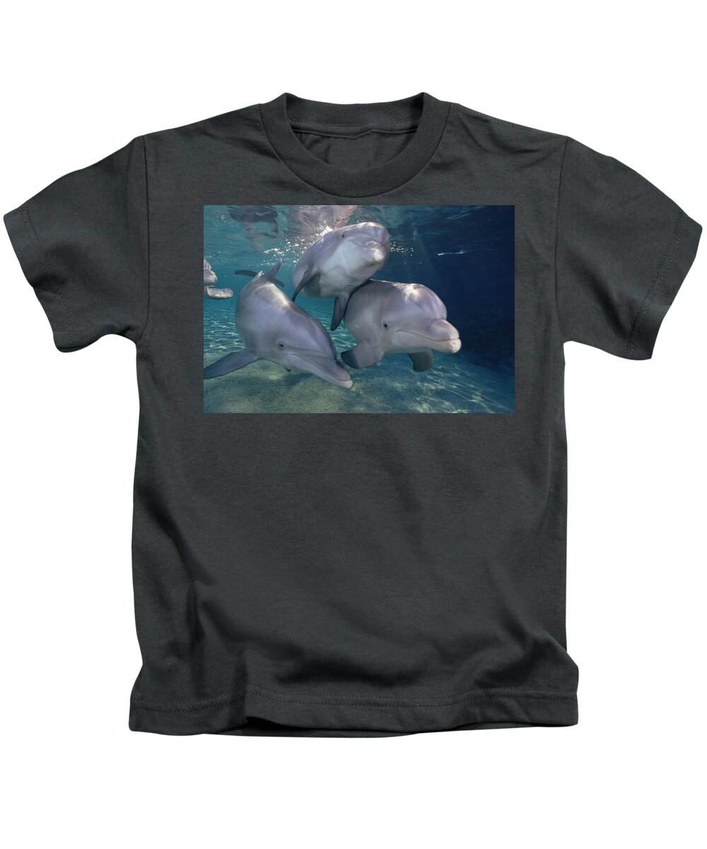 Mp Kids T-Shirt featuring the photograph Bottlenose Dolphin Trio Hawaii by Flip Nicklin