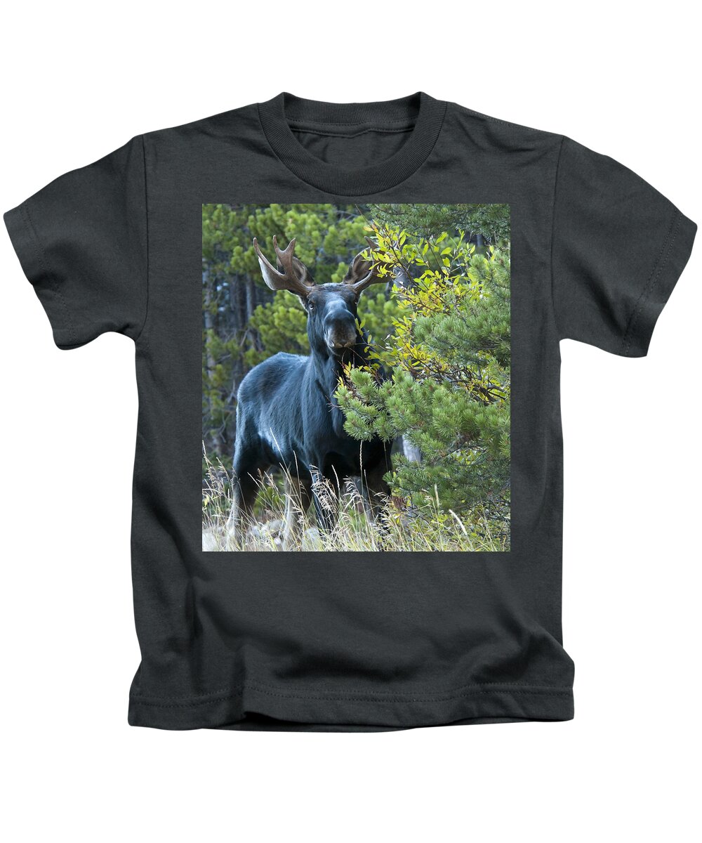 Moose Kids T-Shirt featuring the photograph Bull Moose by Gary Beeler
