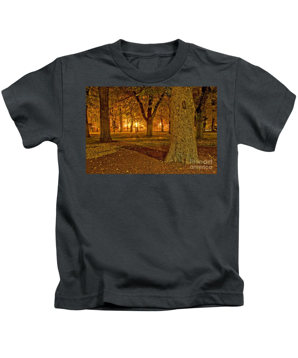 Nevada Kids T-Shirt featuring the photograph Carson City at night by Daniel Knighton