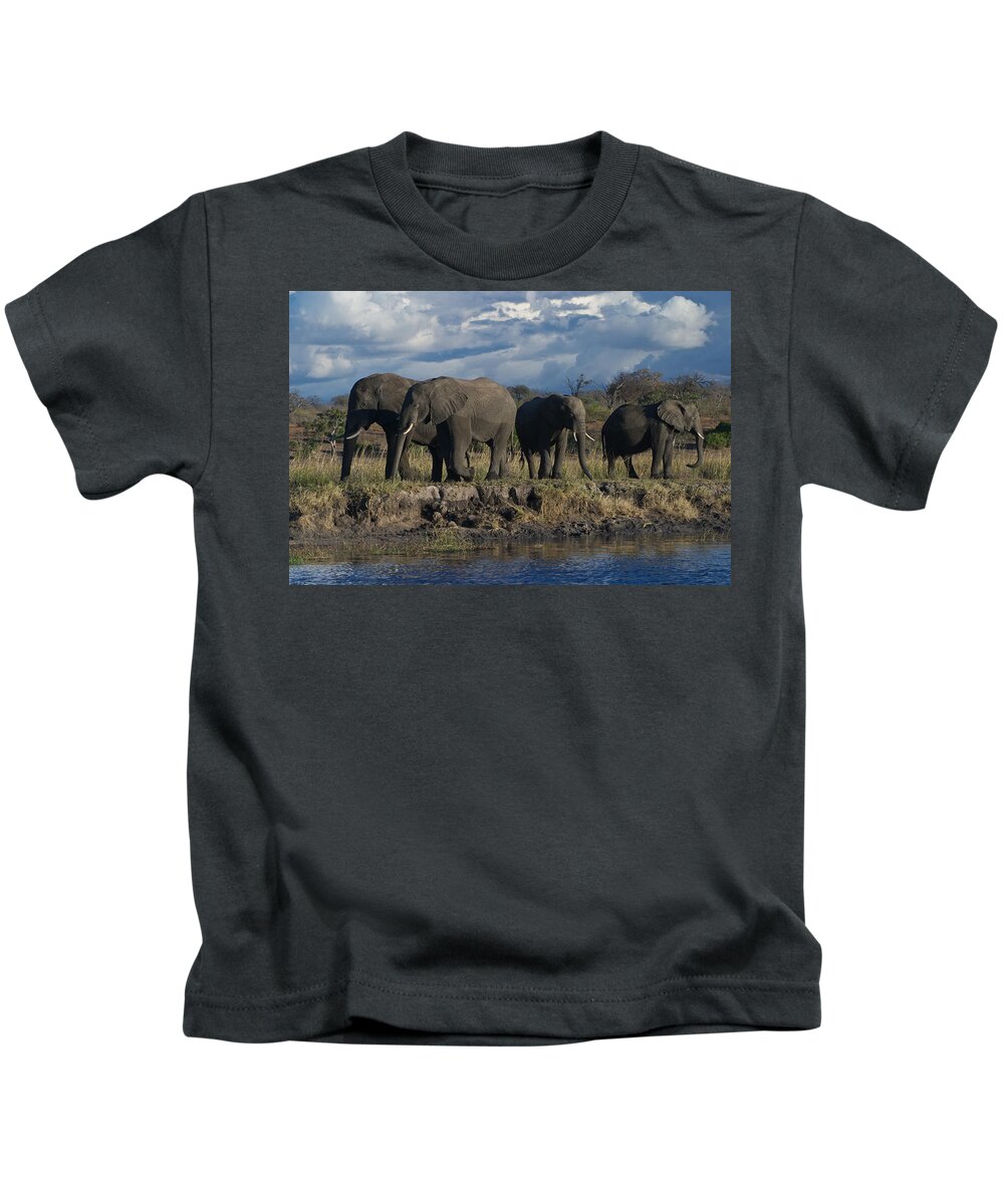 Clouds Kids T-Shirt featuring the photograph Clouds and Elephants by David Kleinsasser