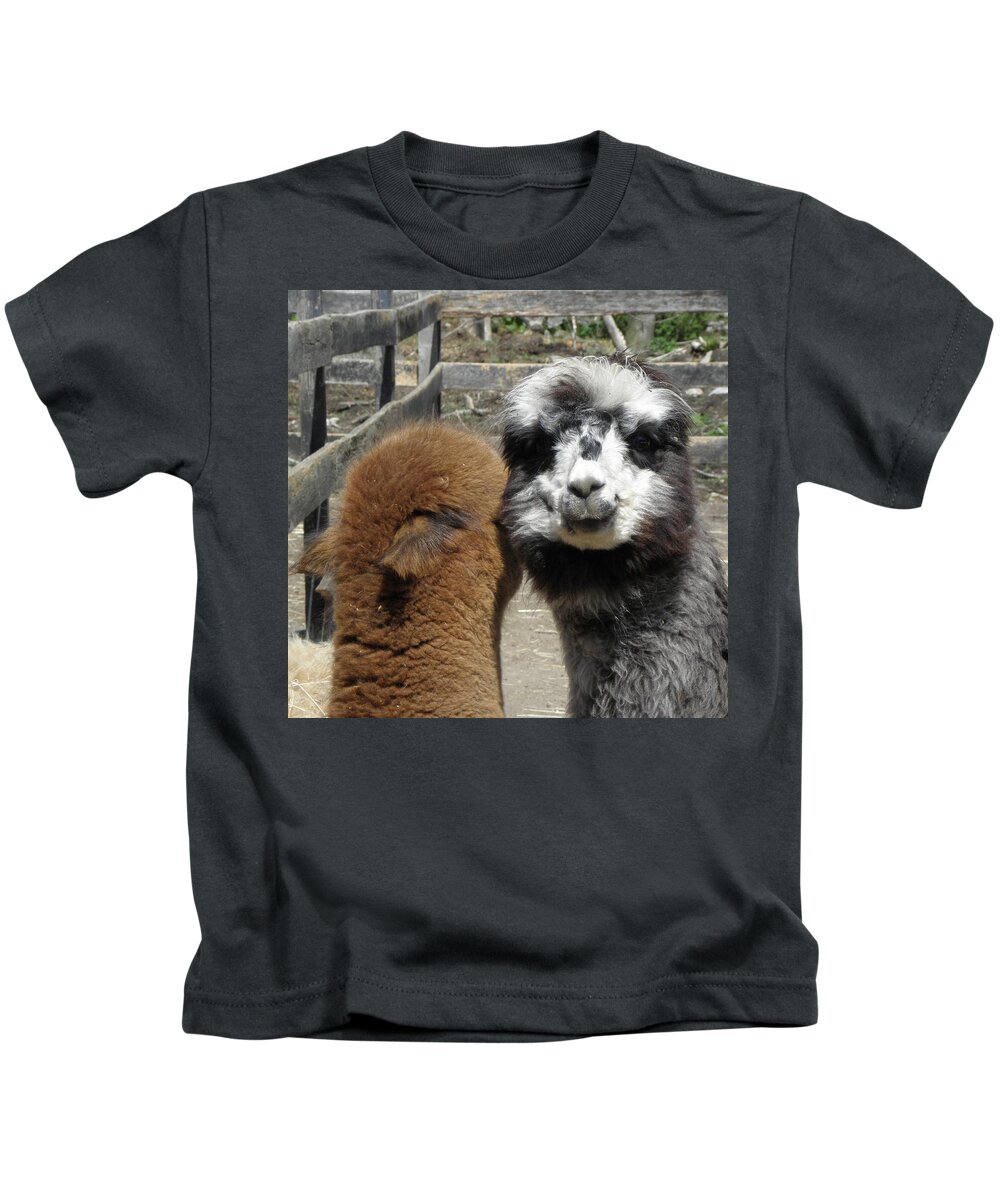 Alpaca Kids T-Shirt featuring the photograph Comfort by Kim Galluzzo