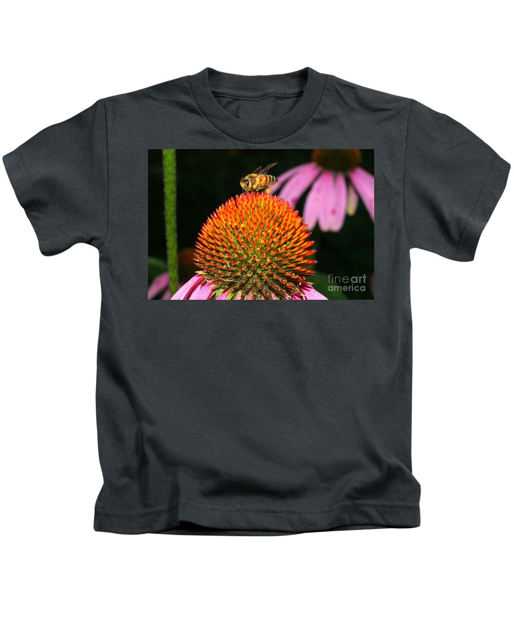 Coneflower Kids T-Shirt featuring the photograph Coneflower Bee by Daniel Knighton