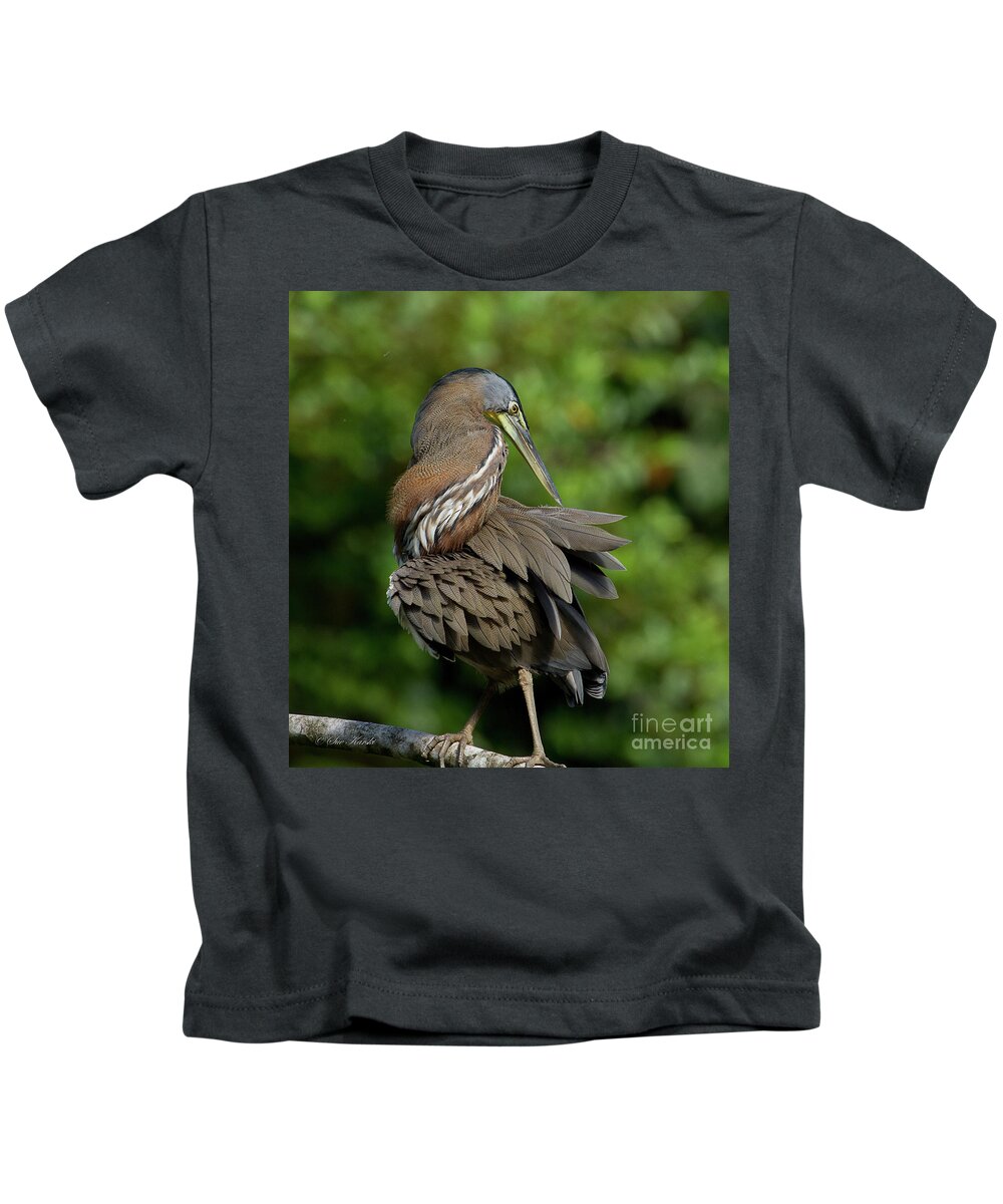 Birds Kids T-Shirt featuring the photograph Corkscrew Heron by Sue Karski