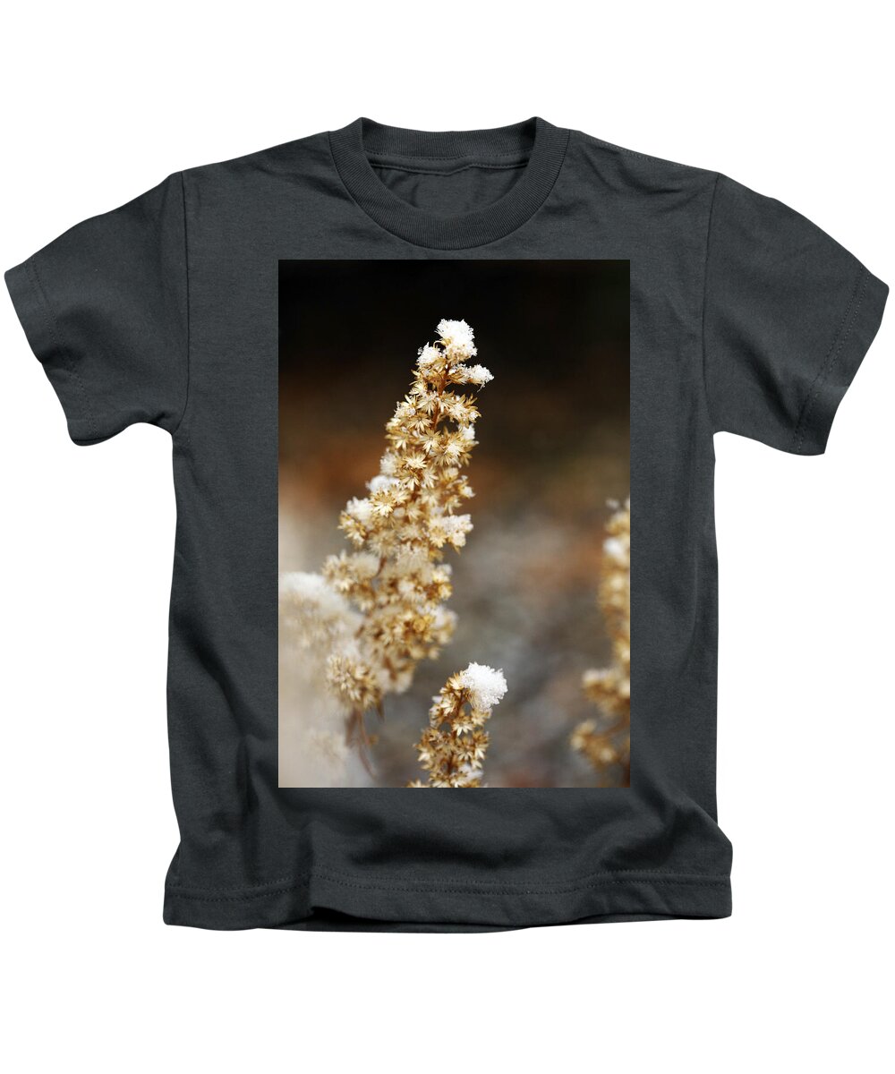 Dried Kids T-Shirt featuring the photograph Dried Flower and crystals by Marilyn Hunt