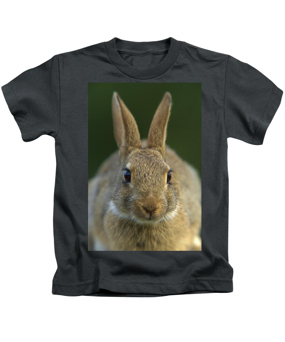 Mp Kids T-Shirt featuring the photograph European Rabbit Oryctolagus Cuniculus by Cyril Ruoso