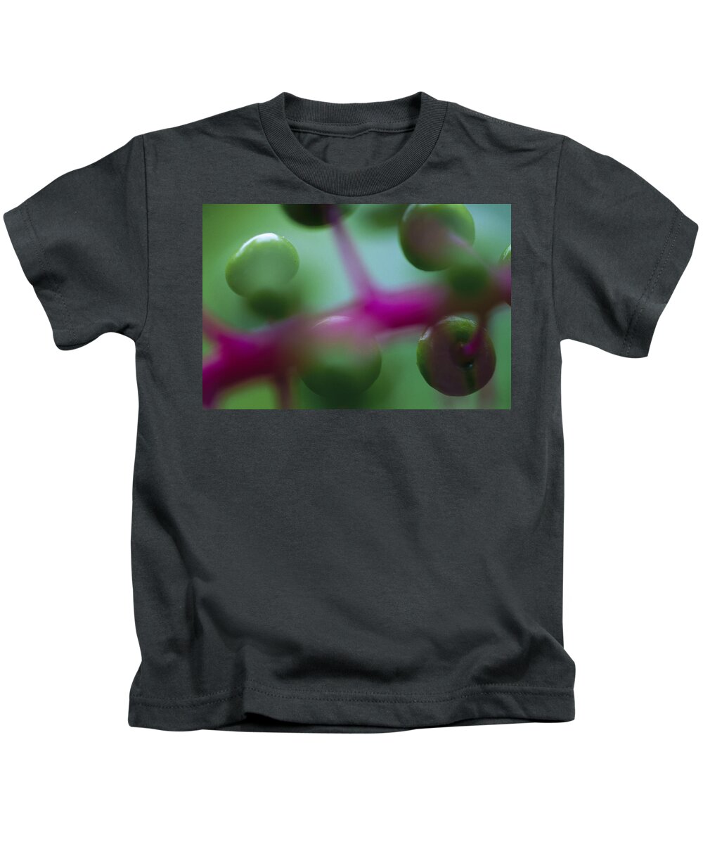 00760019 Kids T-Shirt featuring the photograph Fruit Of A Rainforest Plant Barro Colorado by Christian Ziegler