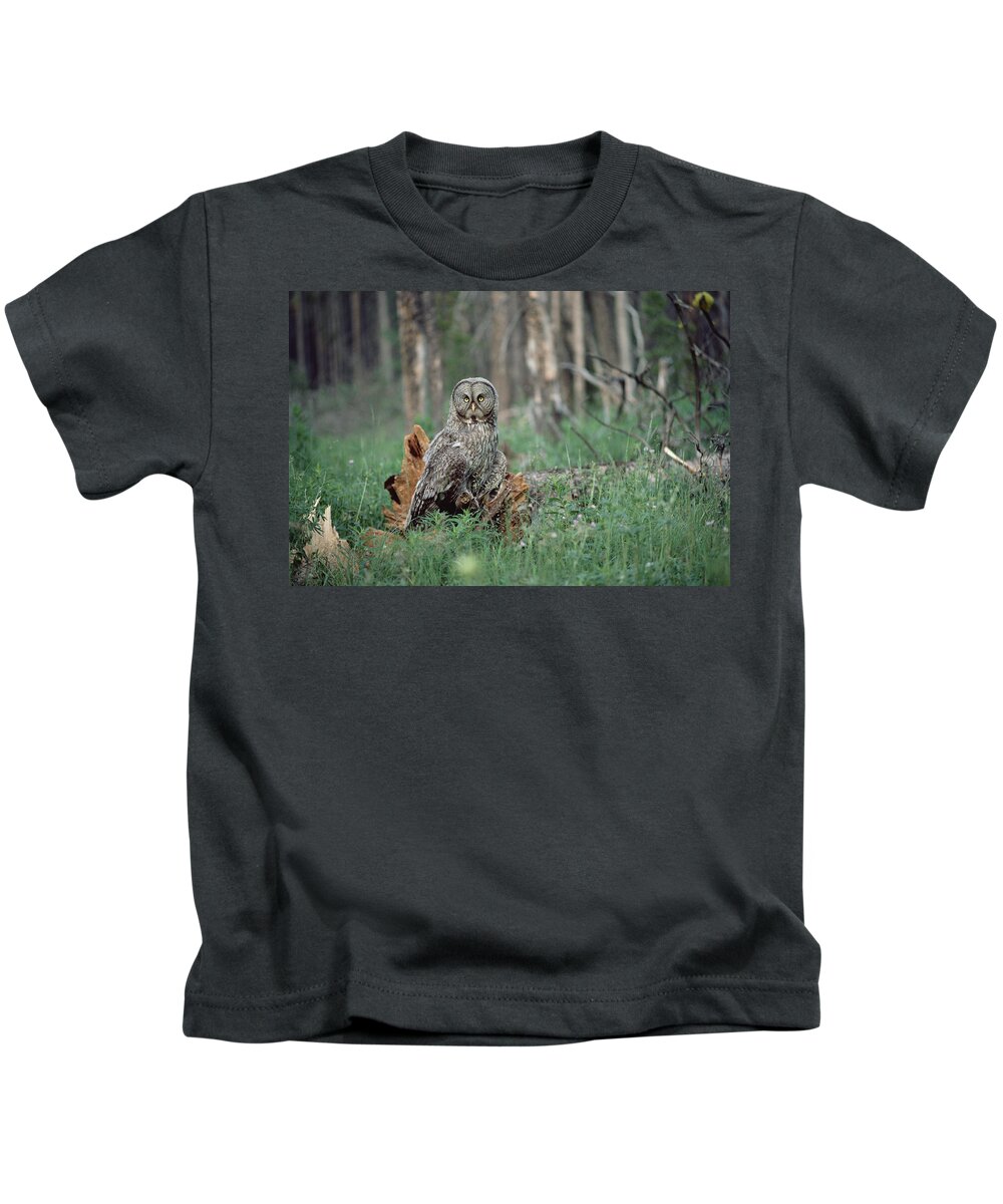 Mp Kids T-Shirt featuring the photograph Great Gray Owl Strix Nebulosa Perching by Michael Quinton