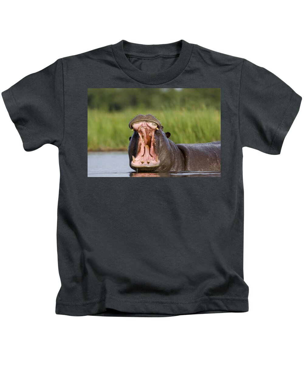 Mp Kids T-Shirt featuring the photograph Hippo Displaying by Vincent Grafhorst