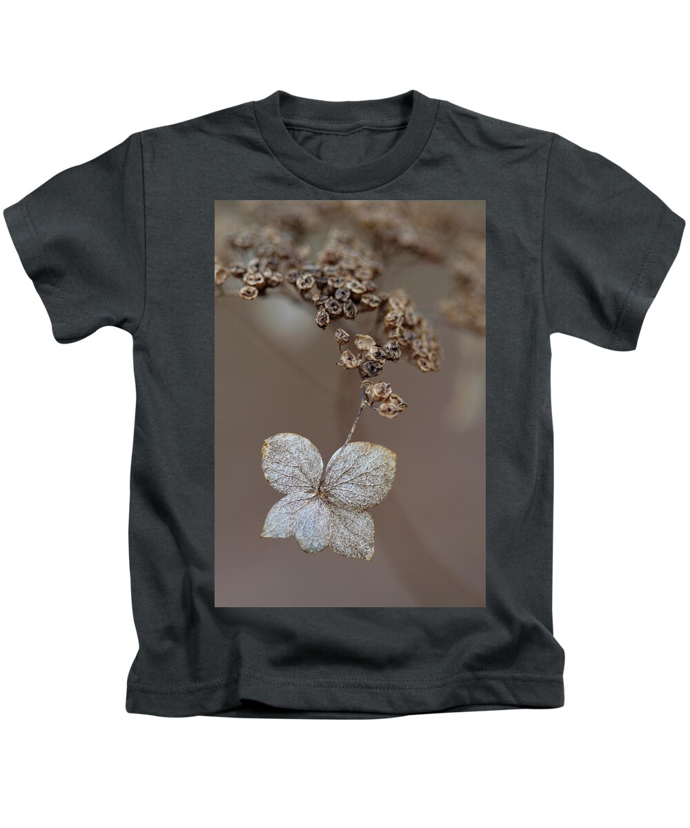 Plant Kids T-Shirt featuring the photograph Hydrangea arborescens Dry Flower Head In Winter by Daniel Reed