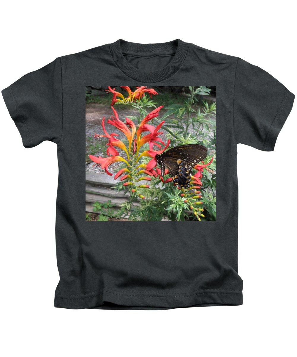 Eastern Kids T-Shirt featuring the photograph Infused With Pollen by Kim Galluzzo