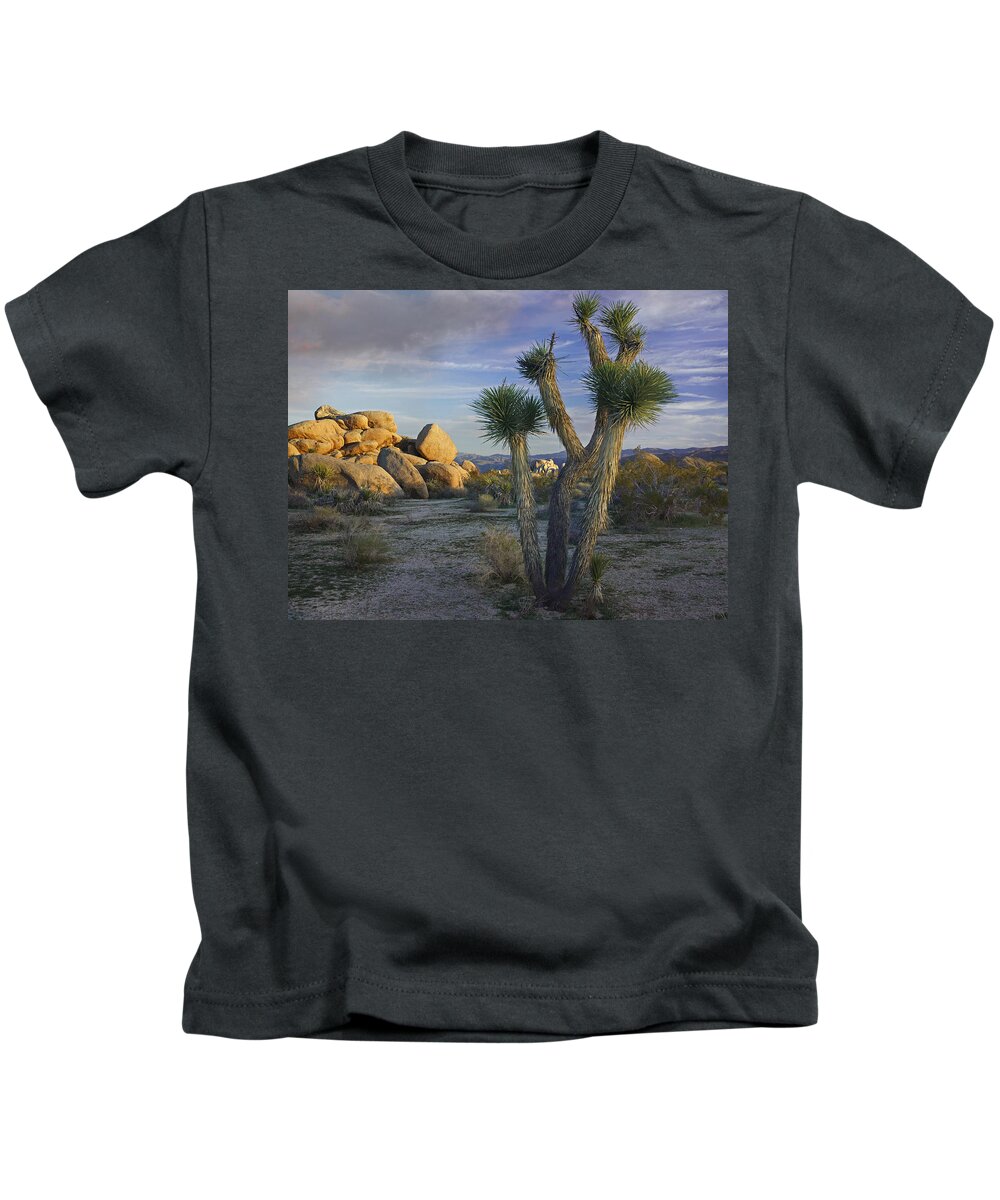 00176988 Kids T-Shirt featuring the photograph Joshua Tree And Boulders Joshua Tree by Tim Fitzharris