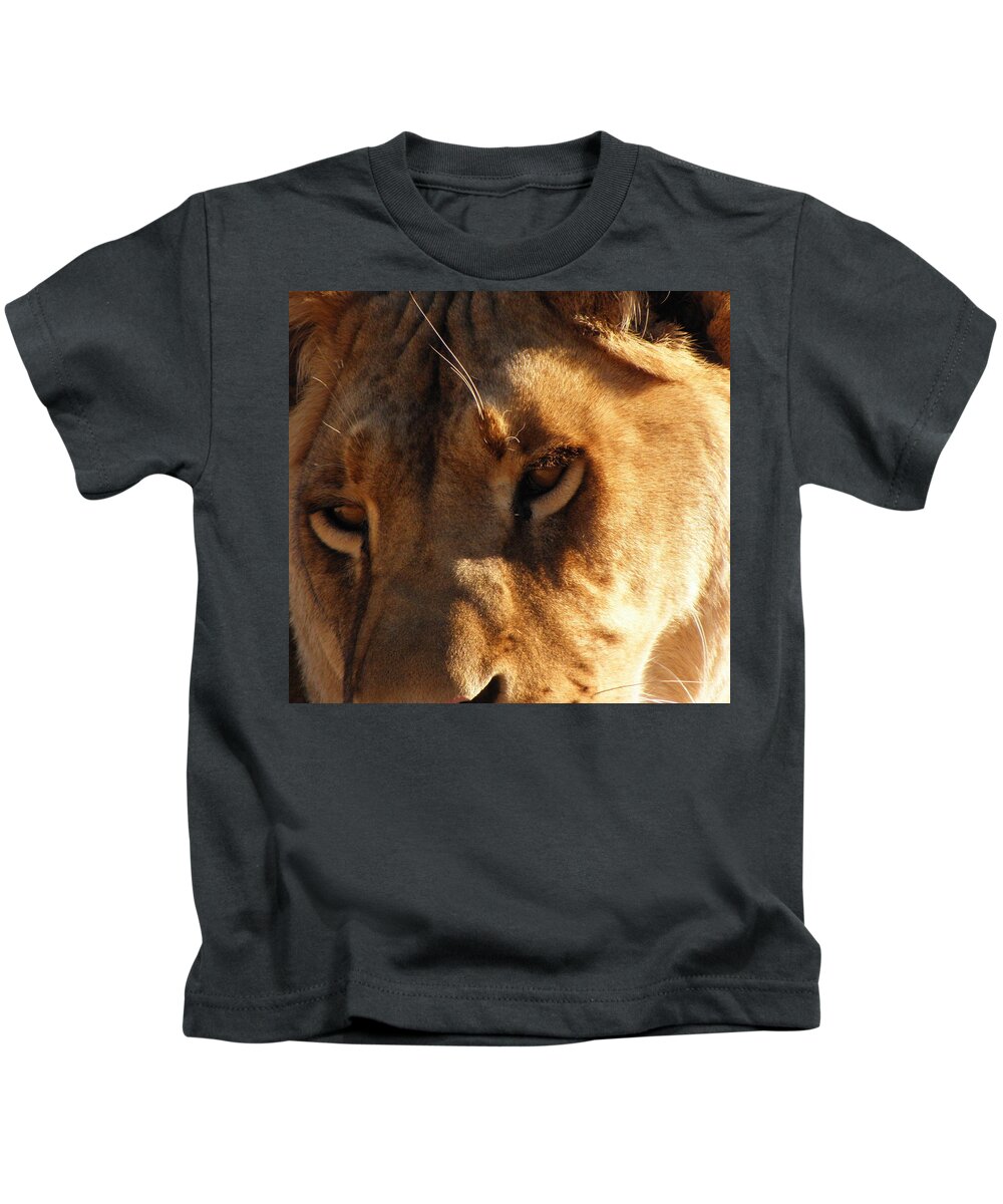 Lion Kids T-Shirt featuring the photograph Kumba the Lioness by Kim Galluzzo