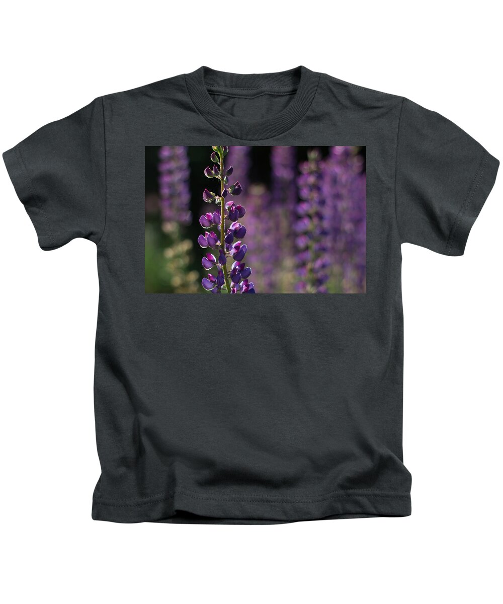 Canada Kids T-Shirt featuring the photograph Lupines by Jakub Sisak