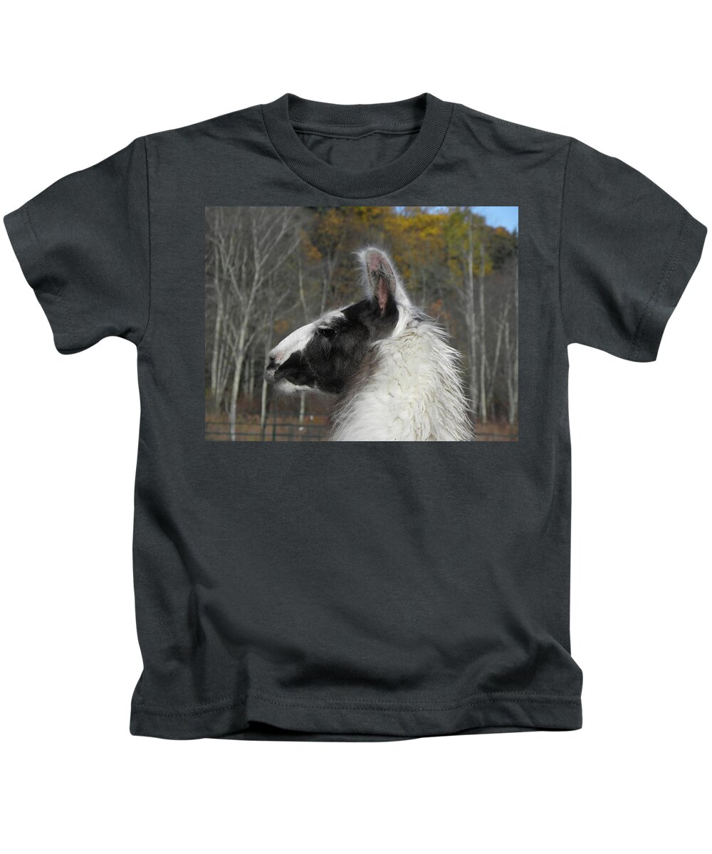 Alpaca Kids T-Shirt featuring the photograph Mr Alpaca in the country by Kim Galluzzo