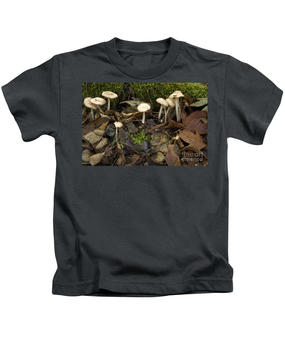 Mushrooms Kids T-Shirt featuring the photograph Mushrooms and Leaves by Bob Christopher