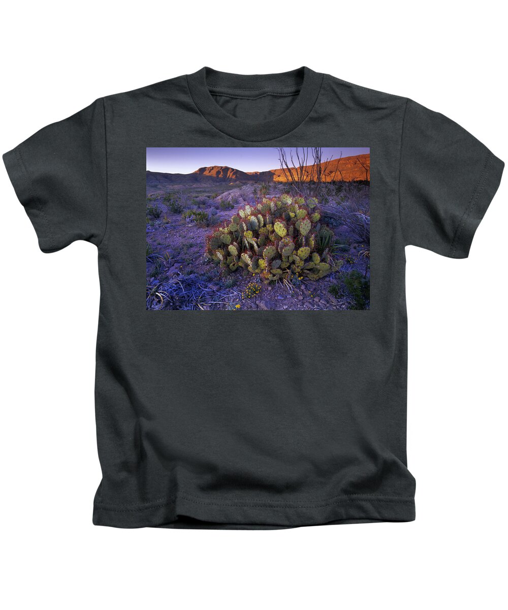 Mp Kids T-Shirt featuring the photograph Opuntia Opuntia Sp In Chihuahuan Desert by Tim Fitzharris