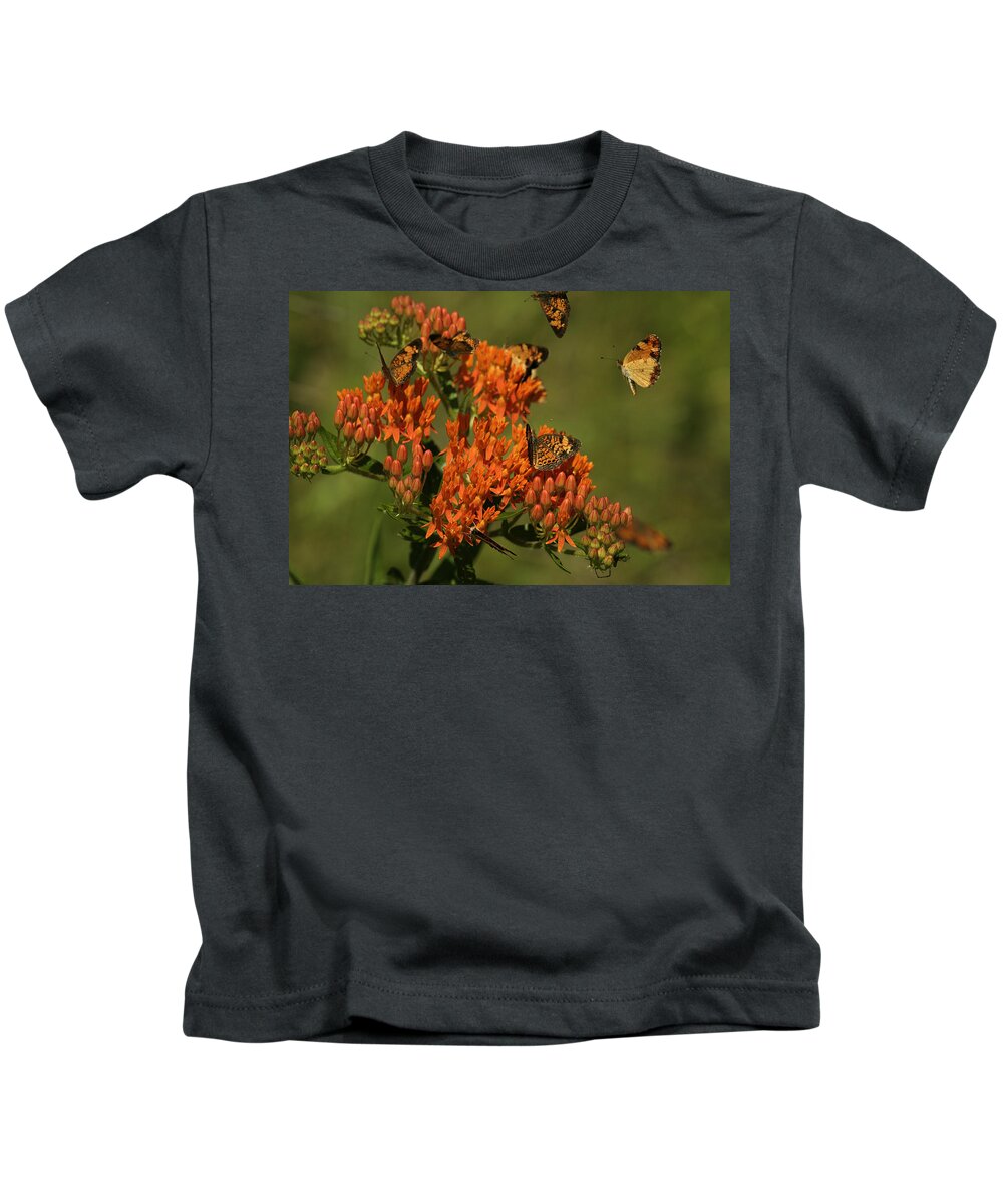 Pearly Crescentpot Butterfly Kids T-Shirt featuring the photograph Pearly Crescentpot Butterflies Landing On Butterfly Milkweed by Daniel Reed