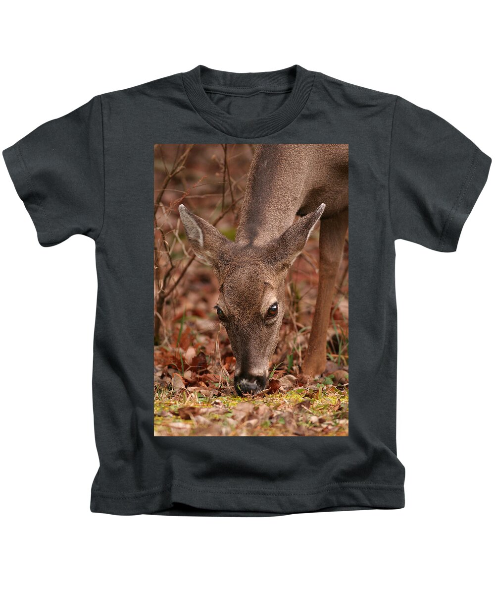 Odocoileus Virginanus Kids T-Shirt featuring the photograph Portrait Of Browsing Deer Two by Daniel Reed