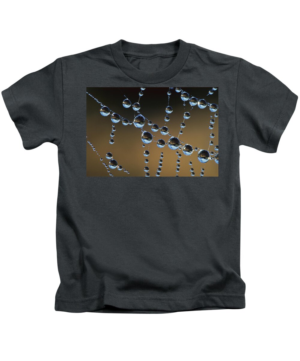 Hhh Kids T-Shirt featuring the photograph Raindrops On A Spider Web, New Zealand by Andy Reisinger