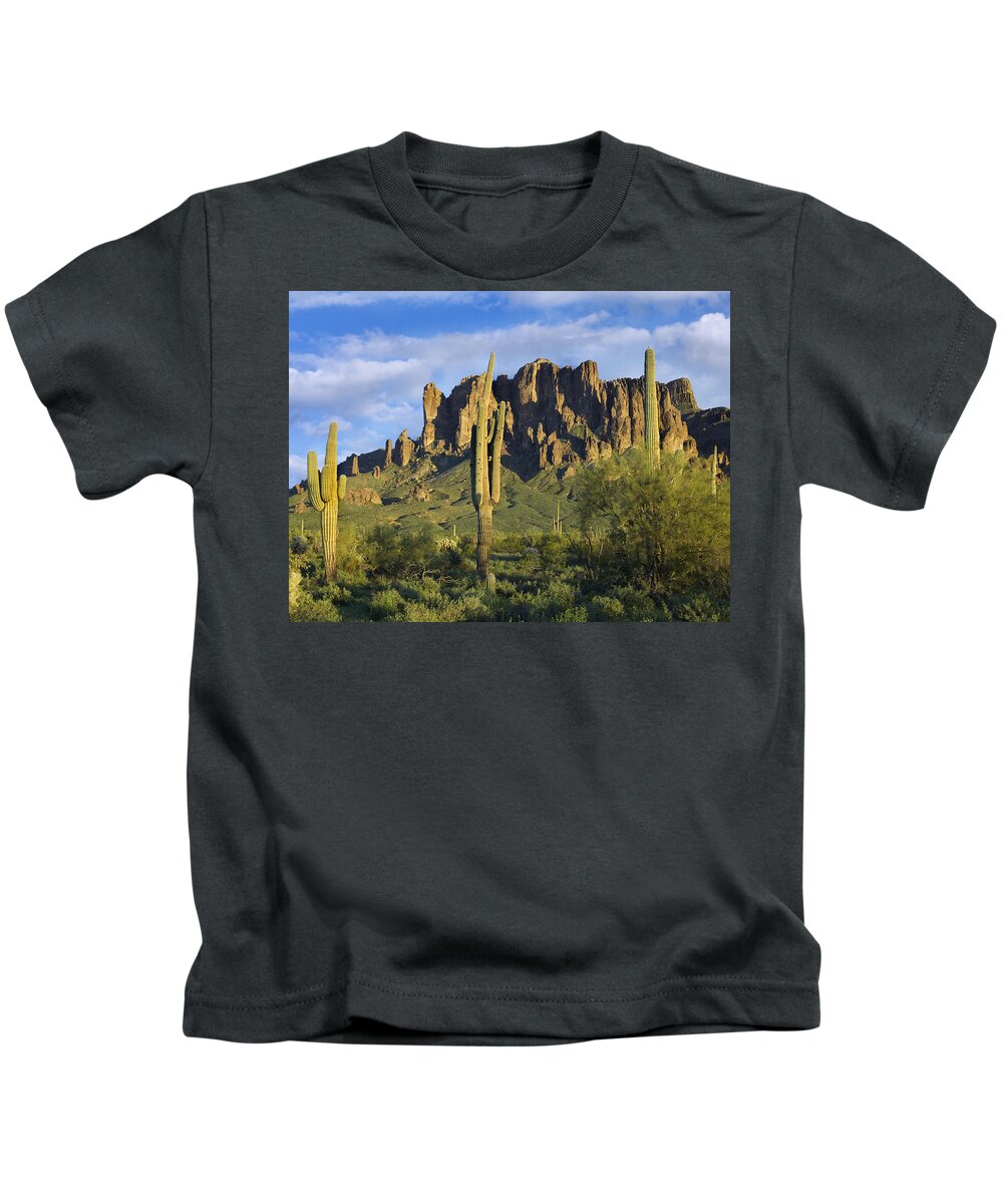 00176987 Kids T-Shirt featuring the photograph Saguaro Cacti And Superstition by Tim Fitzharris