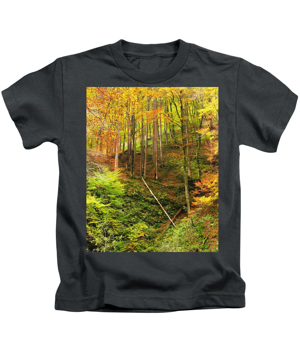 Woods Kids T-Shirt featuring the photograph Slovenian Woods by Greg Matchick