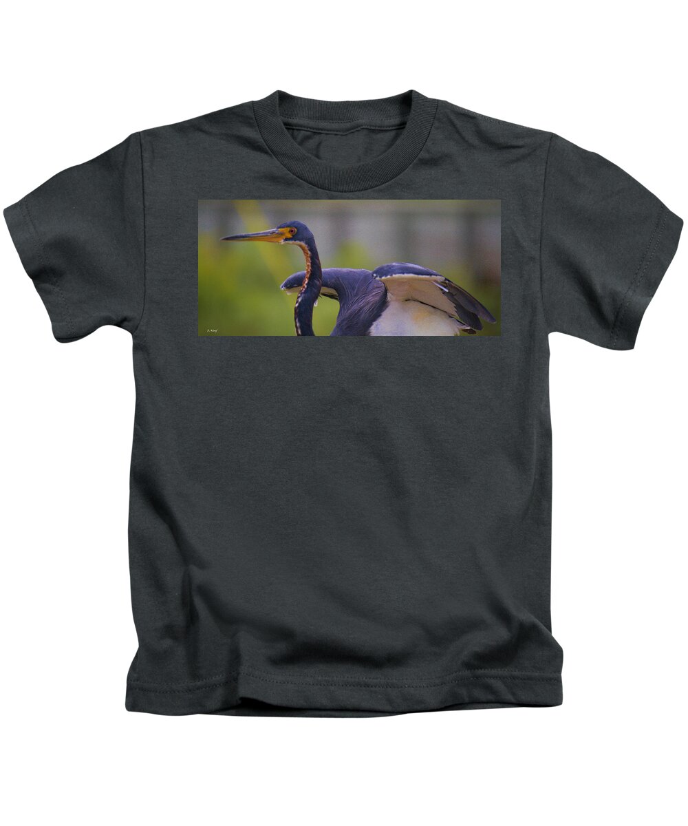 Roena King Kids T-Shirt featuring the photograph Tricolored Heron About To Fly by Roena King
