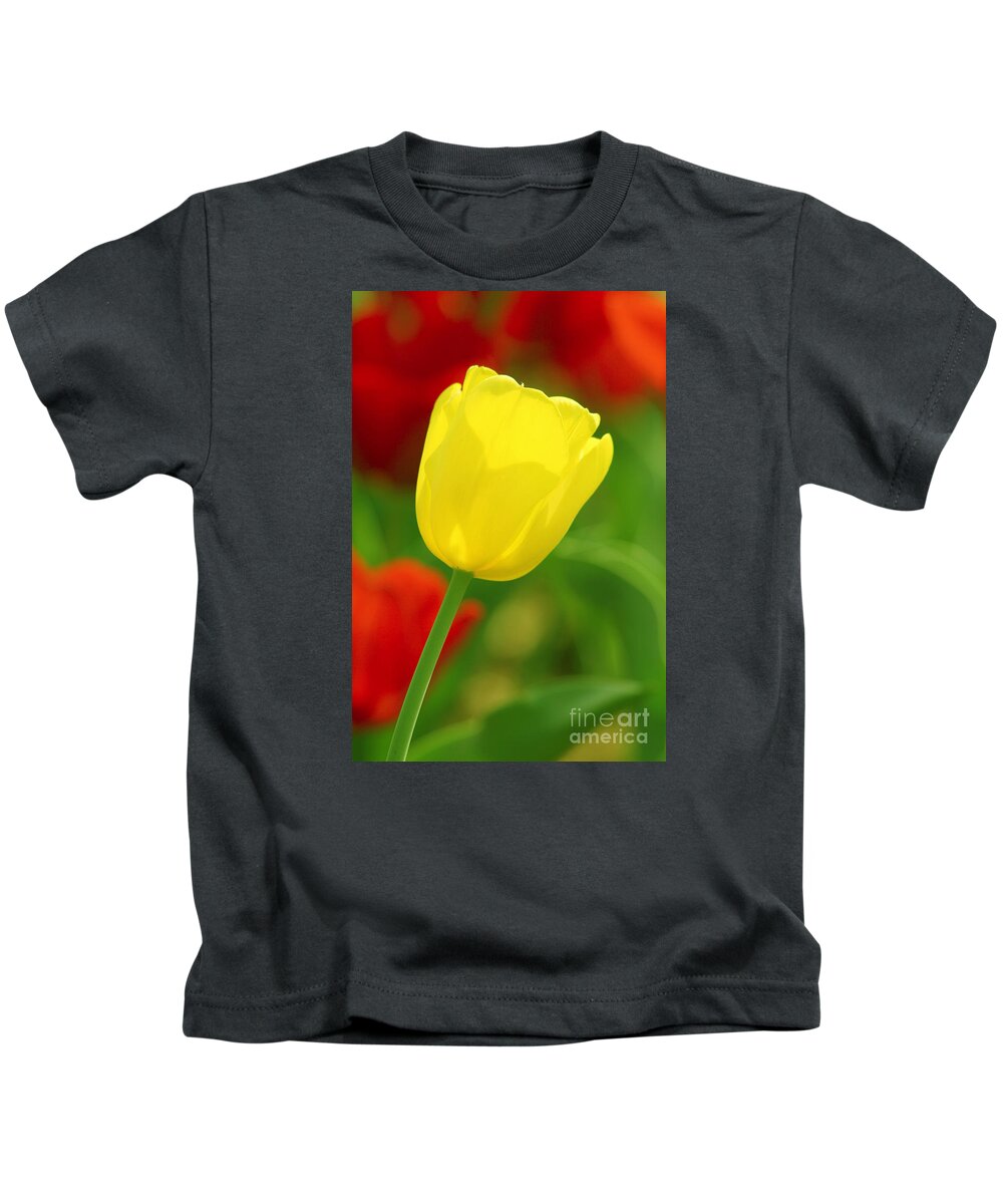 Tulip Kids T-Shirt featuring the photograph Tulipan Amarillo by Francisco Pulido