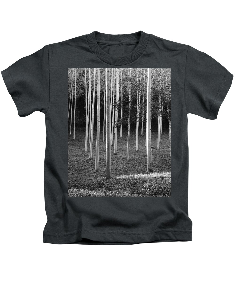 France Kids T-Shirt featuring the photograph White Woods III in France by Greg Matchick