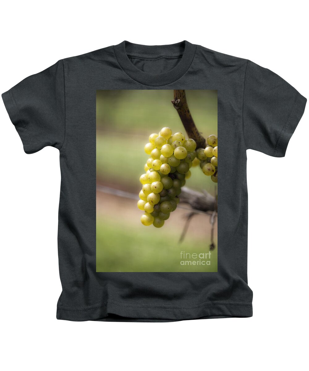 Grapes Kids T-Shirt featuring the photograph Wine Grapes by Leslie Leda