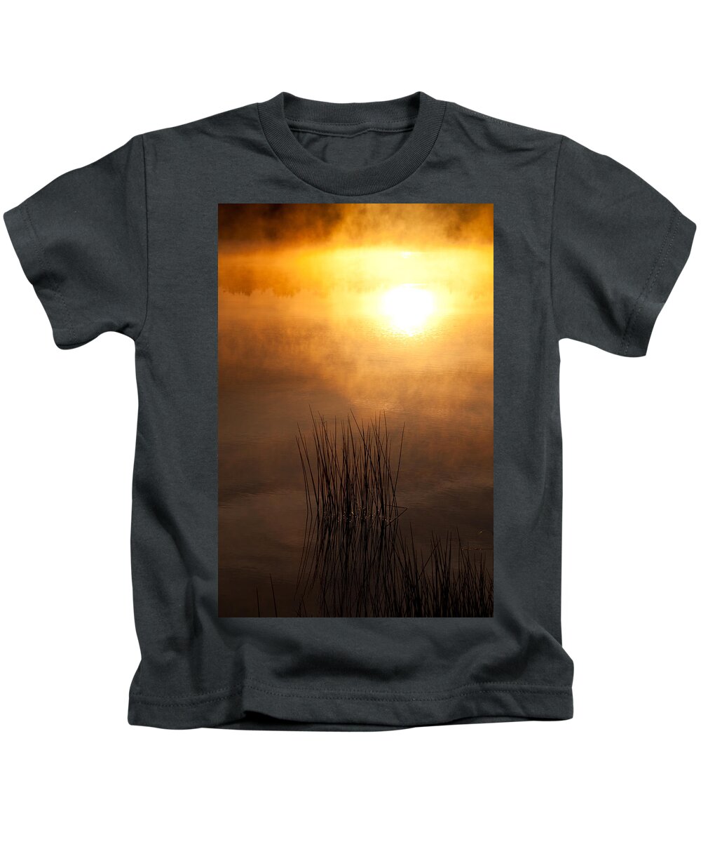 Misty Lake Kids T-Shirt featuring the photograph Mist and Lake Reeds at Sunrise by Irwin Barrett
