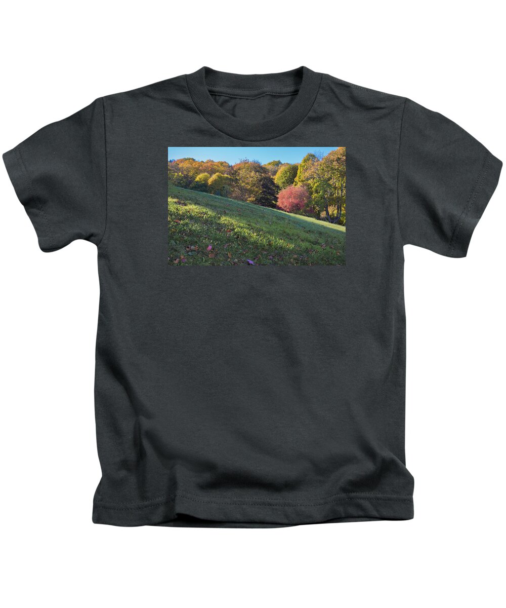 Vermont Autumn Kids T-Shirt featuring the photograph Autumn Palette #1 by Tom Singleton