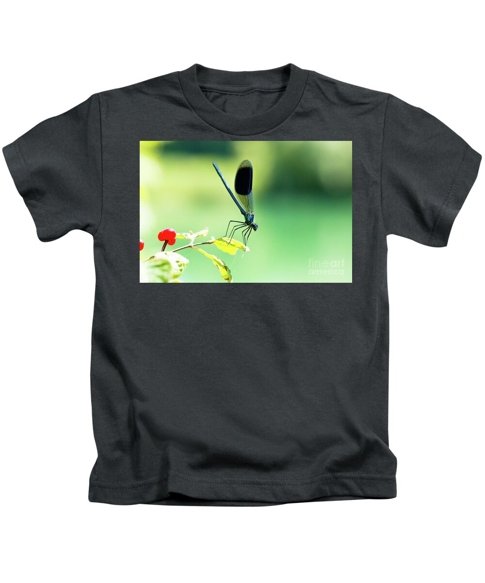 Countryside Kids T-Shirt featuring the photograph Broad-winged Damselfly, Dragonfly by Amanda Mohler