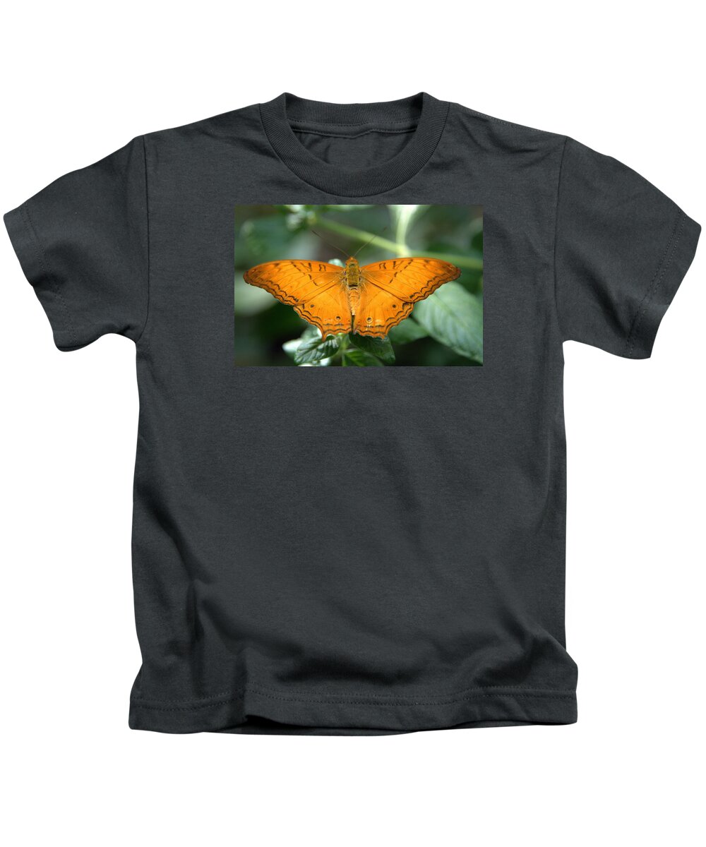 Butterfly Kids T-Shirt featuring the photograph Butterfly by Jerry Cahill