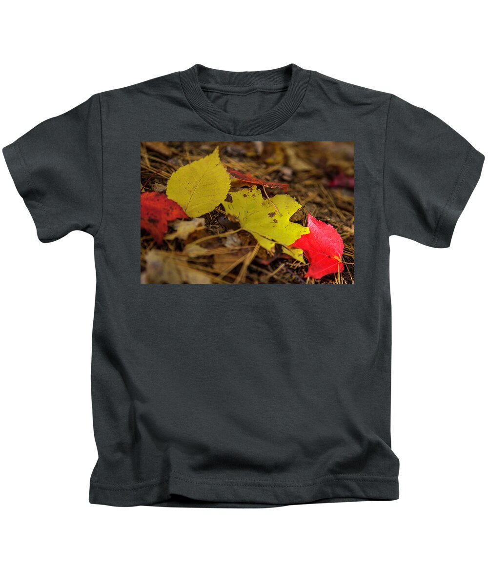 Fall Kids T-Shirt featuring the photograph Fall in New Hampshire #1 by Benjamin Dahl