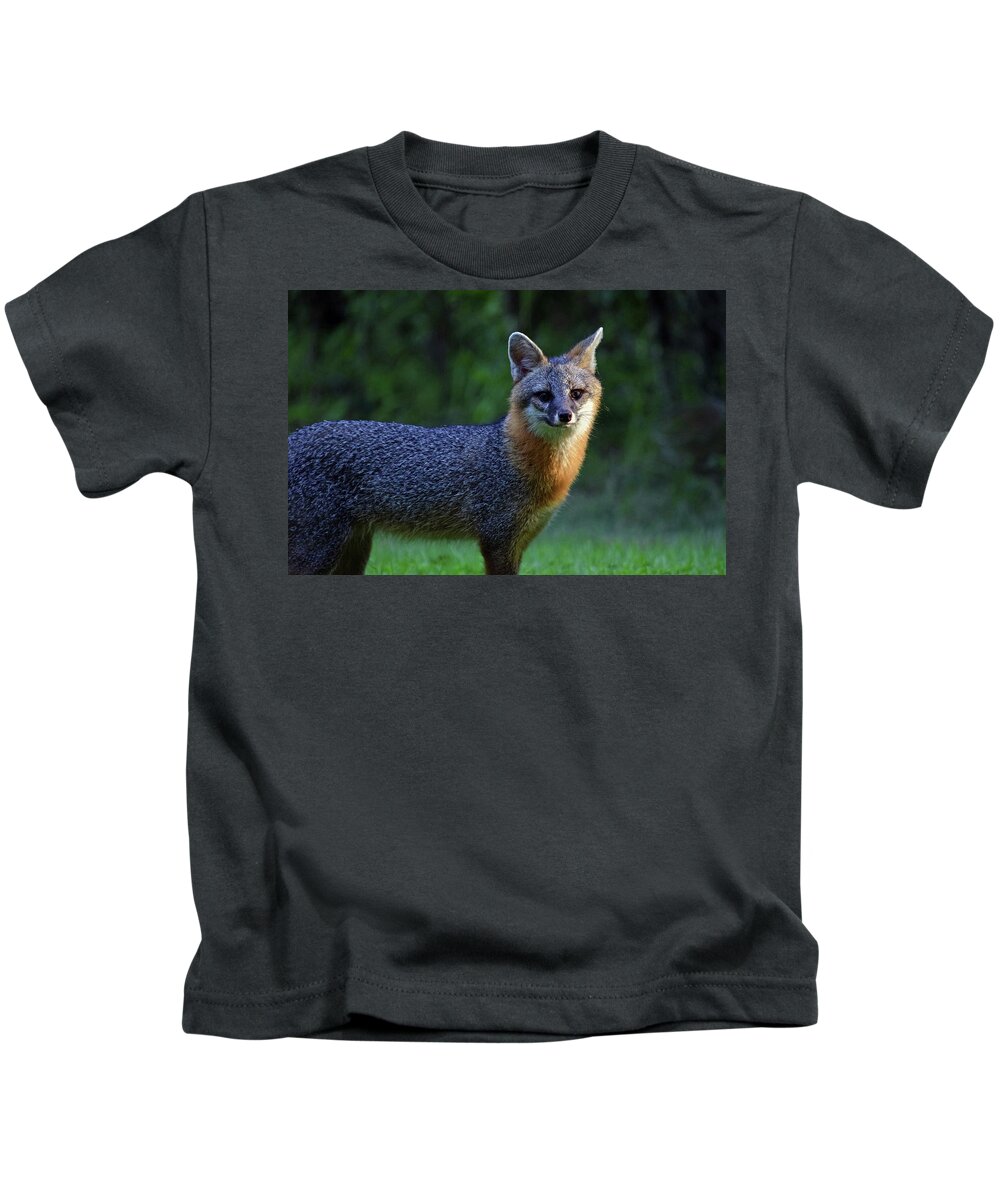 Photograph Kids T-Shirt featuring the photograph Fox #1 by Larah McElroy
