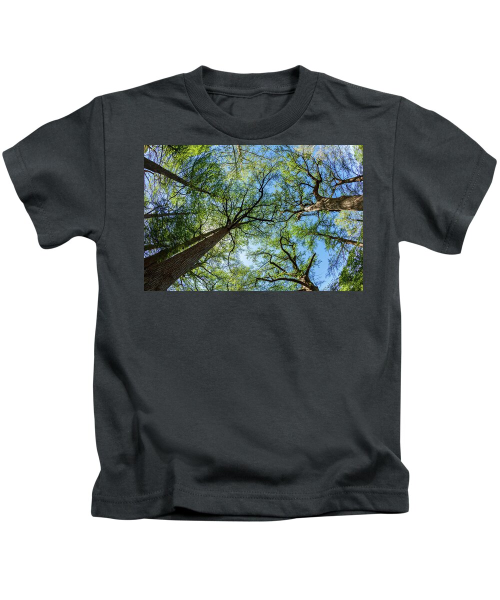 Austin Kids T-Shirt featuring the photograph Majestic Cypress Trees by Raul Rodriguez