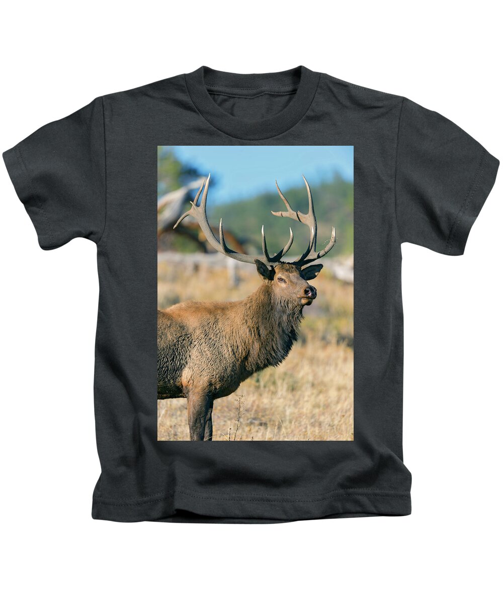 Bull Elk Kids T-Shirt featuring the photograph Rocky Mountain Elk #1 by Gary Langley