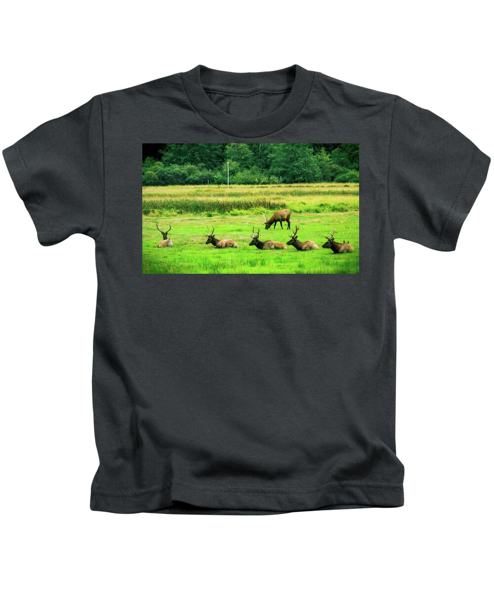 Roosevelt Elk Kids T-Shirt featuring the photograph Roosevelt Elk #1 by Dr Janine Williams