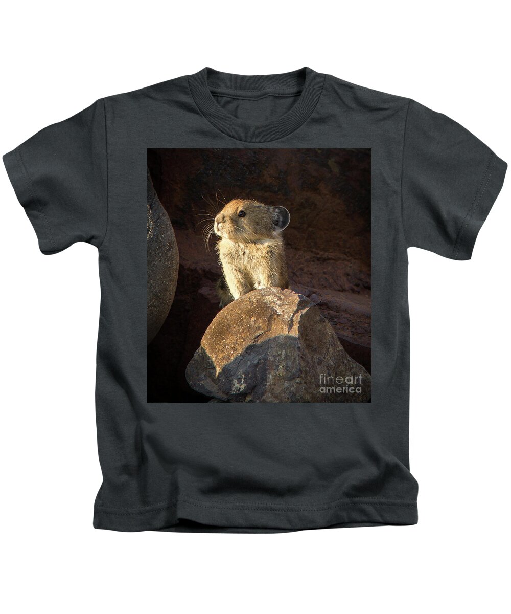 2016 Kids T-Shirt featuring the photograph The Coast is Clear Wildlife Photography by Kaylyn Franks #1 by Kaylyn Franks